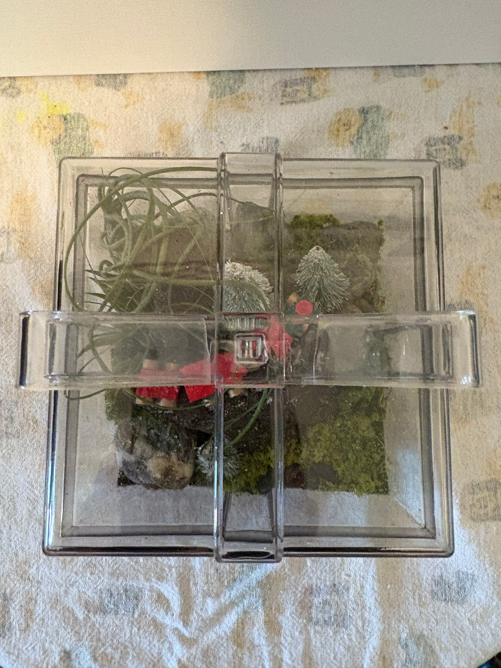 Winter Woodland Train Garden Terrerium