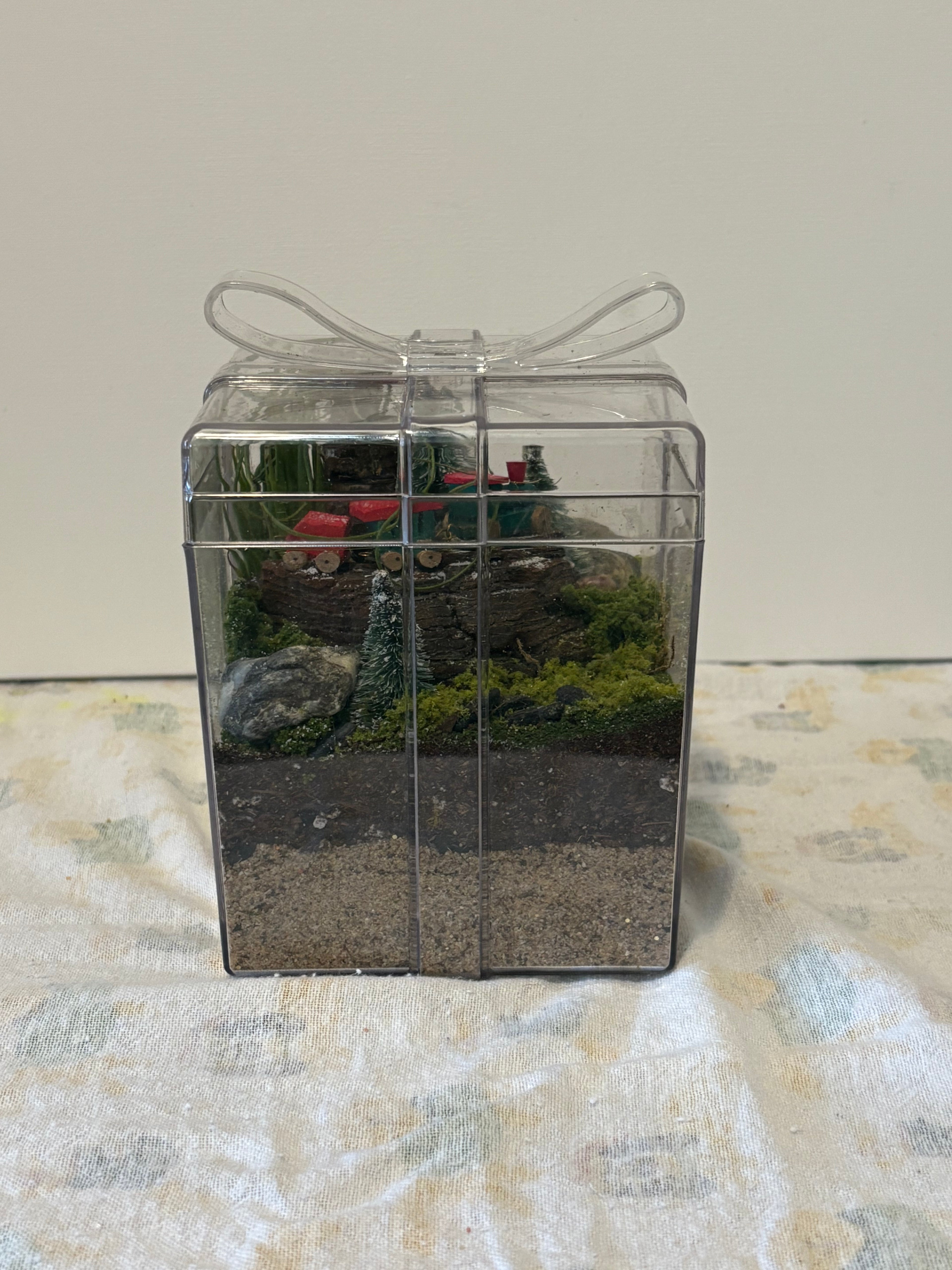 Winter Woodland Train Garden Terrerium