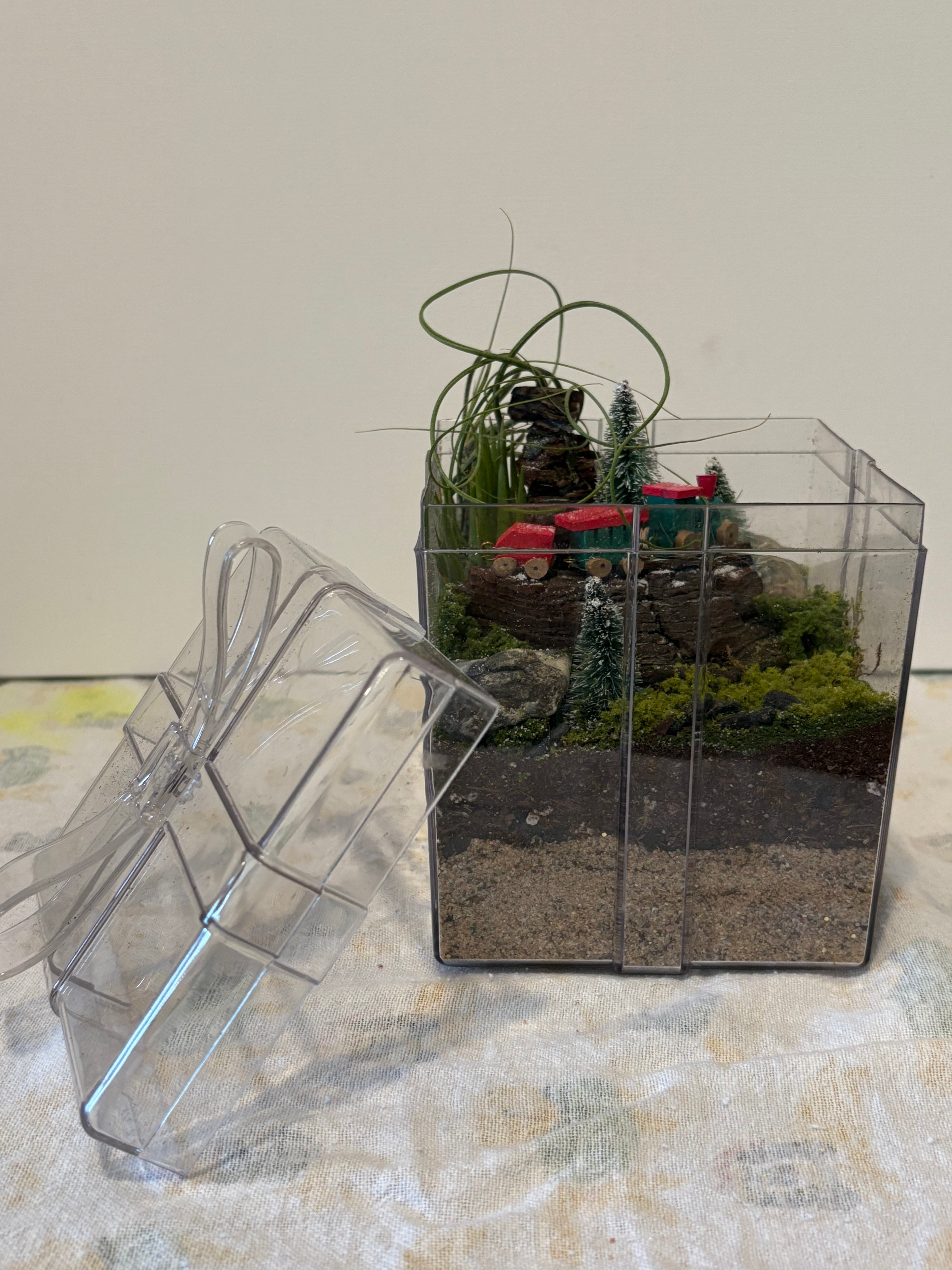 Winter Woodland Train Garden Terrerium