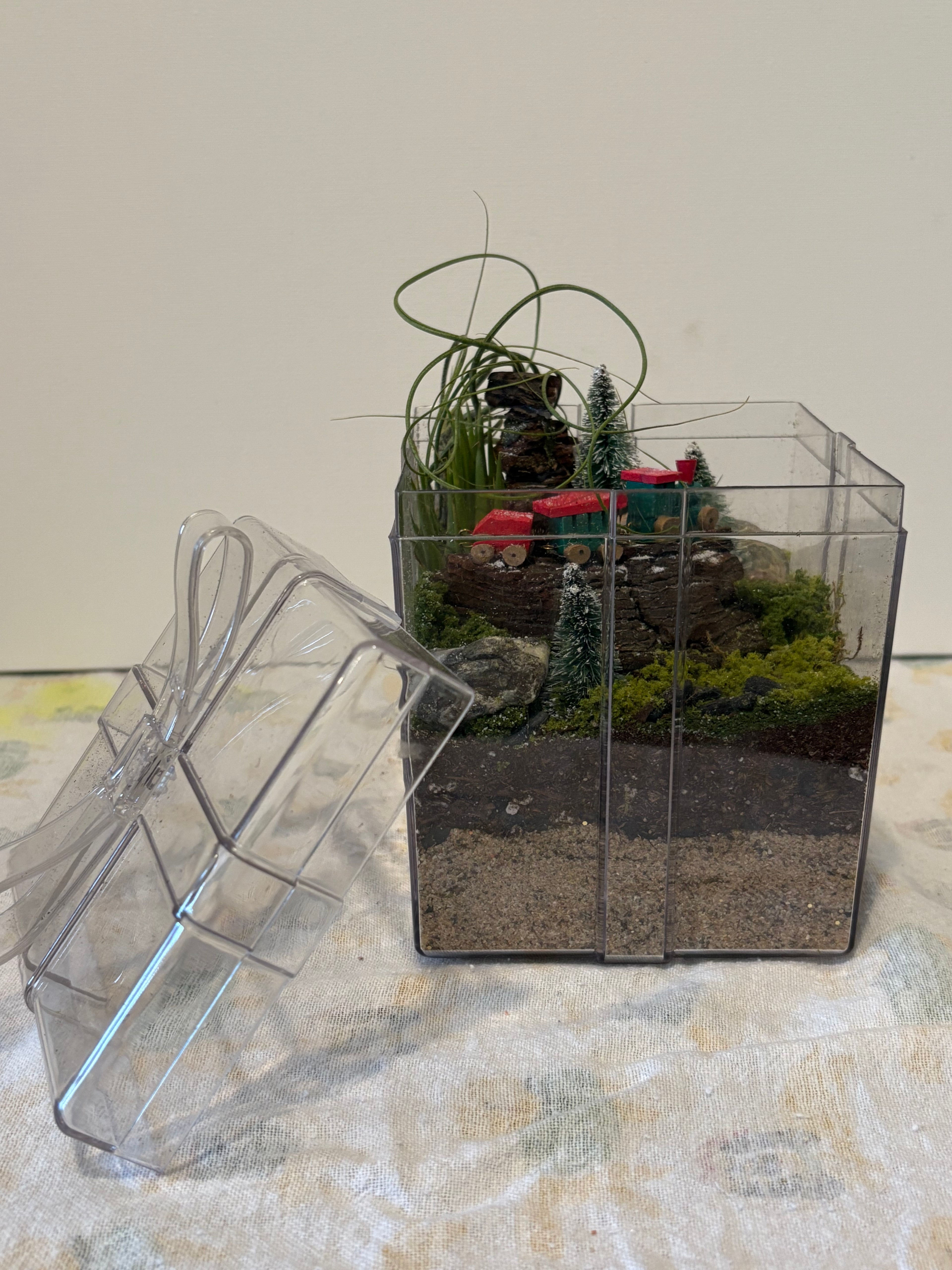 Winter Woodland Train Garden Terrerium